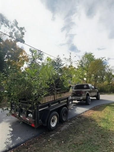 Hauling2