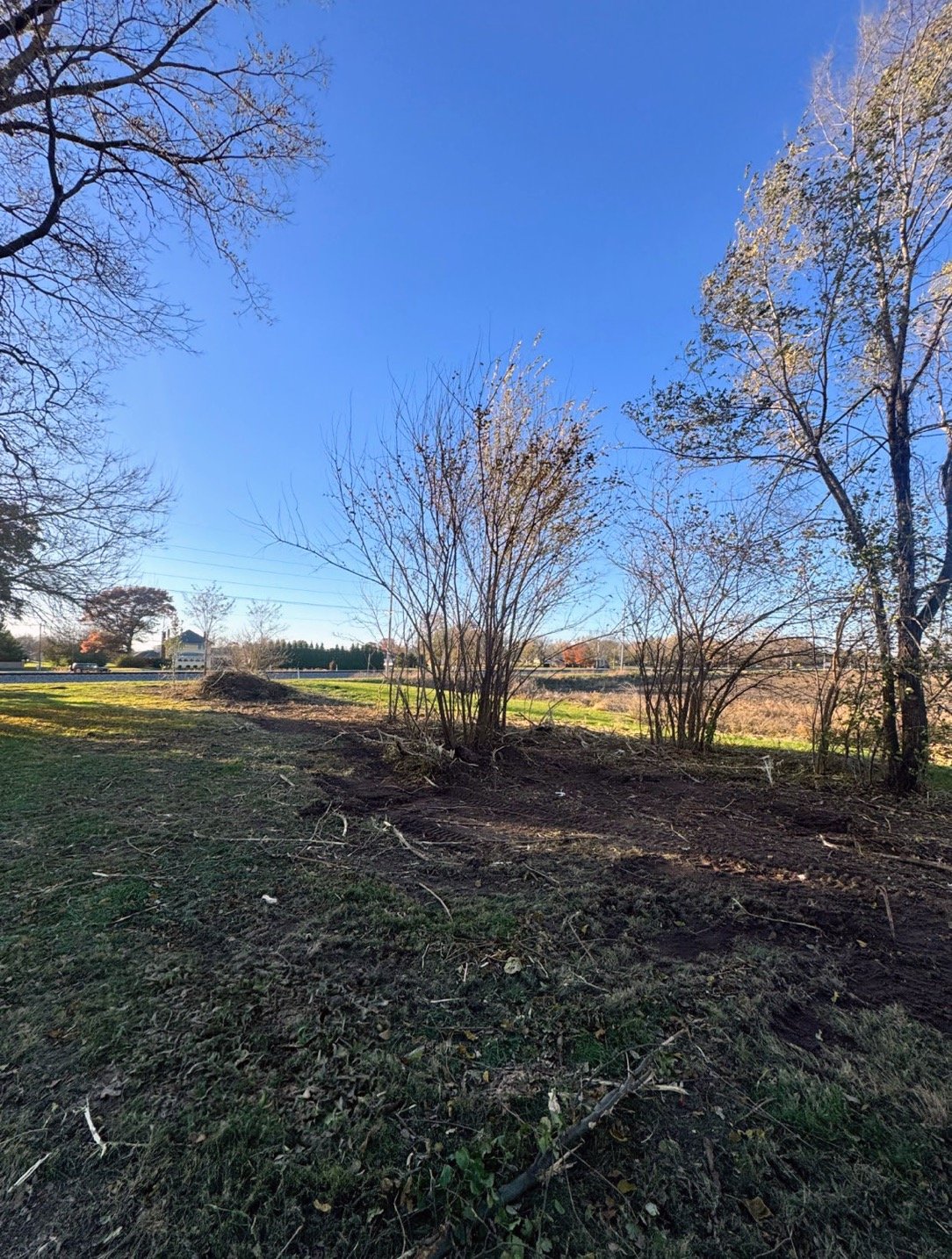 Land Clearing After 3