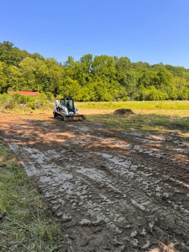 land clearing bobcat 3