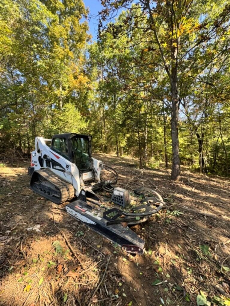 land clearing bobcat