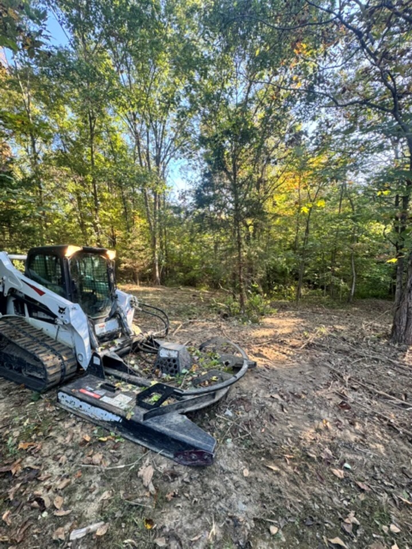 land clearing bobcat2