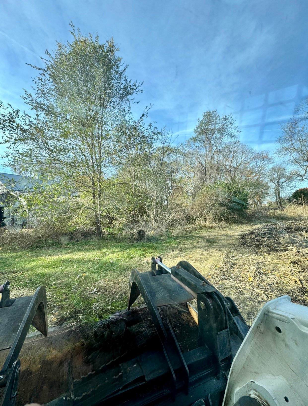 LandClearing Before1