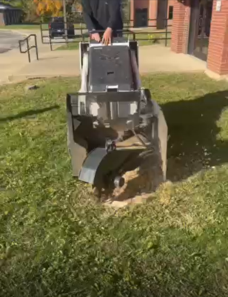 stump grinding pic