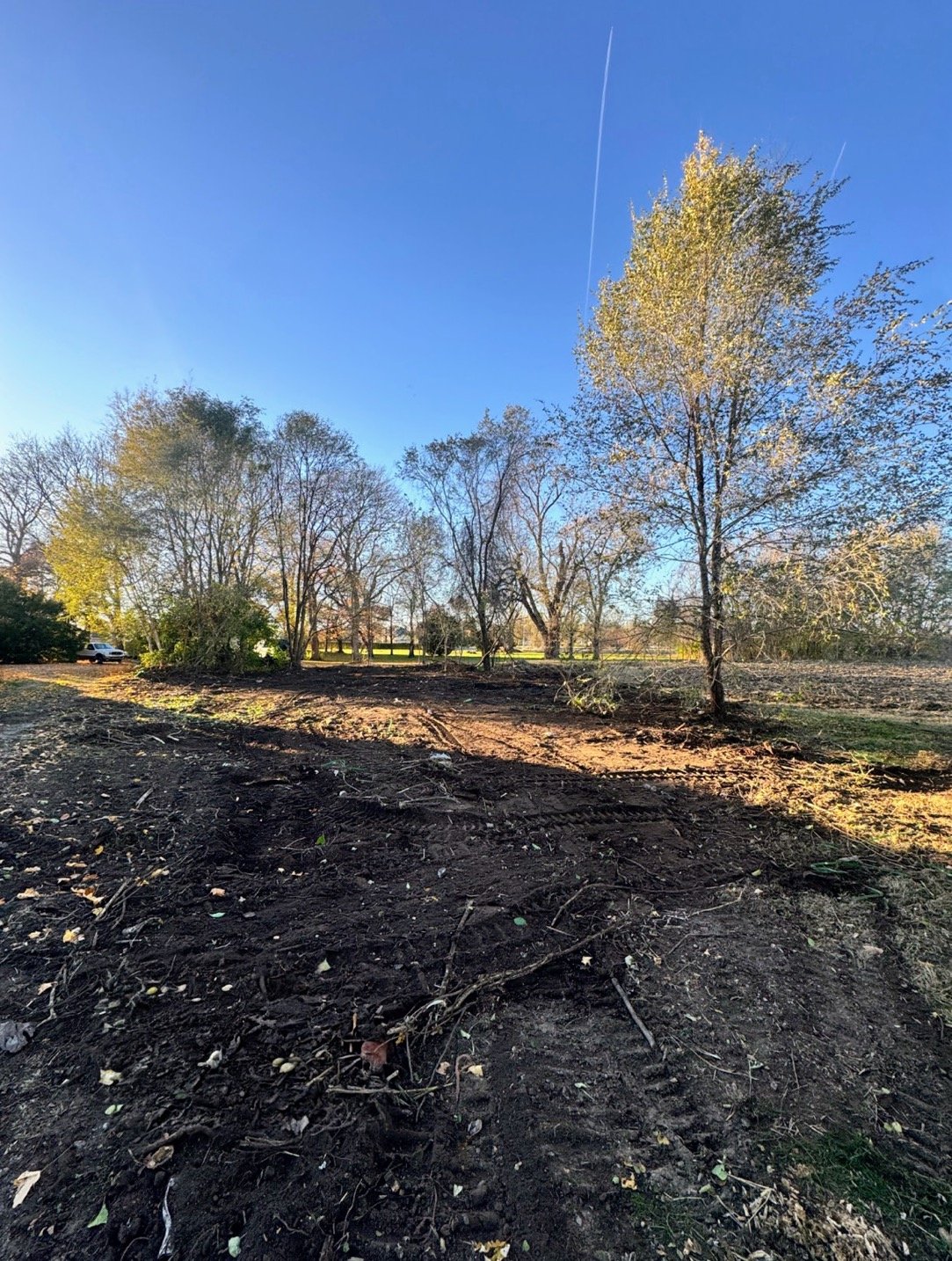 Land Clearing After 1