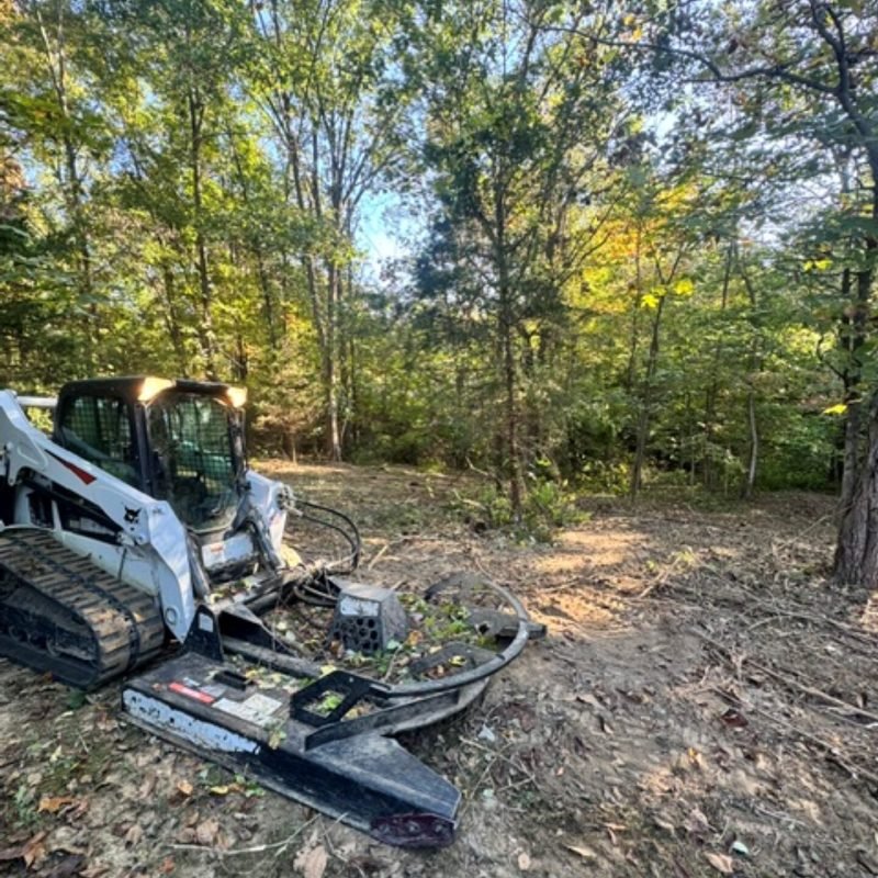 land clearing bobcat2